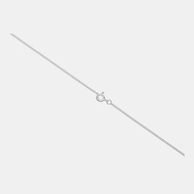 Harmony Rhapsody Rectangle Dog